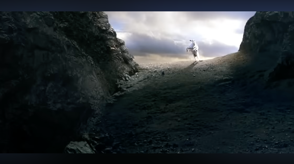 A dark rocky slope appears a white horse rearing up in the sunlight.