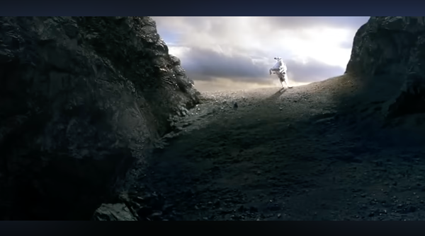 A dark rocky slope appears a white horse rearing up in the sunlight.